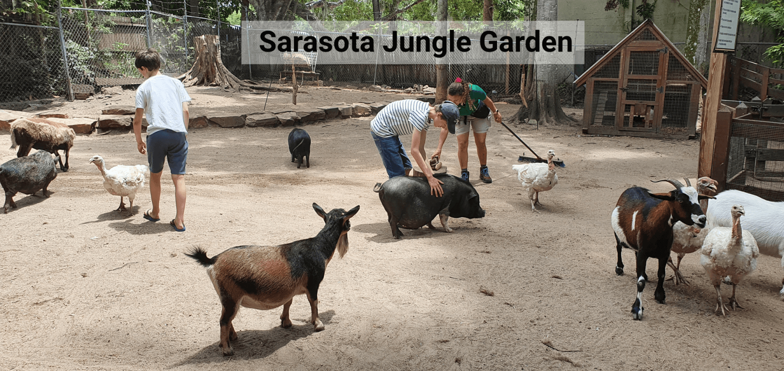 The petting zoo of the Sarasota Jungle Garden