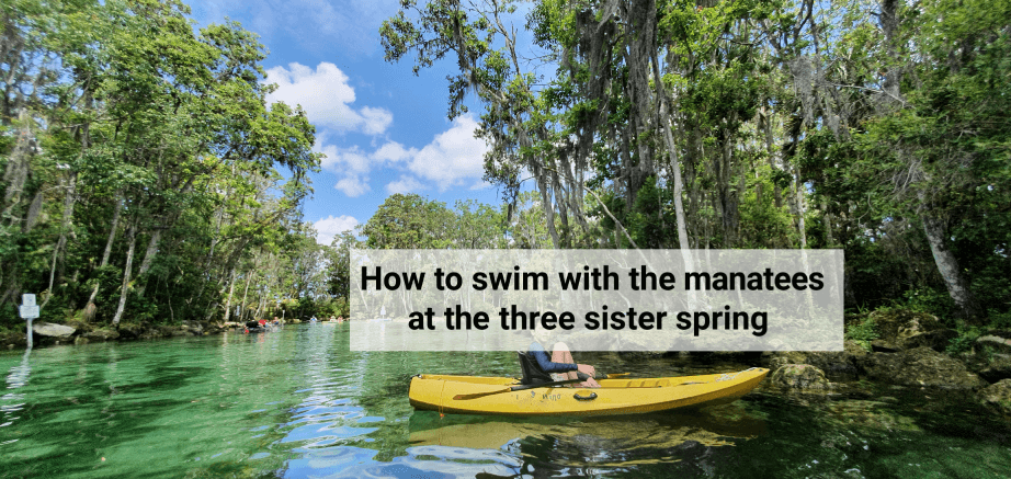 How to swim with the manatees at the three sister springs